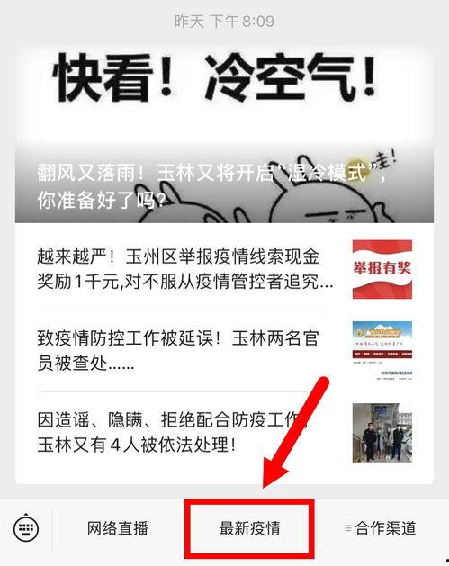 玉林爆料今天最新消息,揭秘今日热点事件真相
